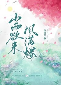 山雨欲来风满楼封面