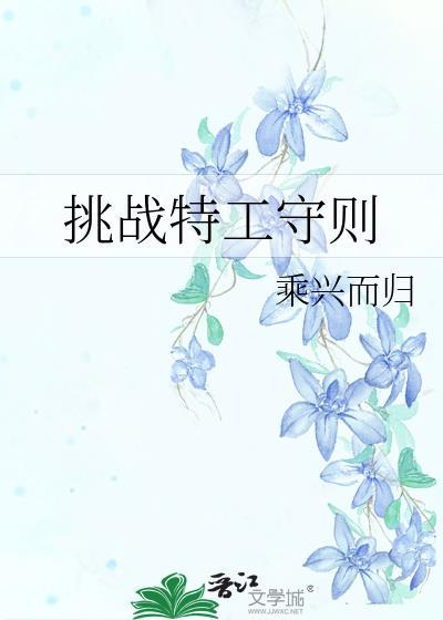 挑战特工守则封面