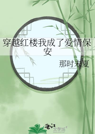 穿越红楼我成了爱情保安封面