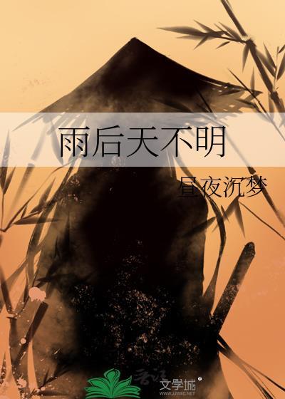 雨后天不明封面