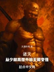 诸天：从少林高僧开始无限变强封面