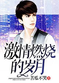 激情燃烧的岁月封面