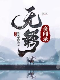 陈情令：无羁奇闻录封面