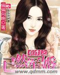 重生之已然军婚封面