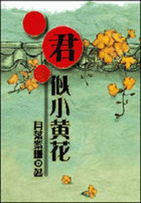 君似小黄花封面