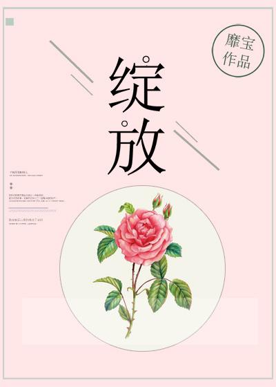 绽放封面