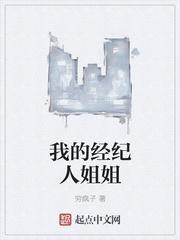 我的经纪人姐姐封面