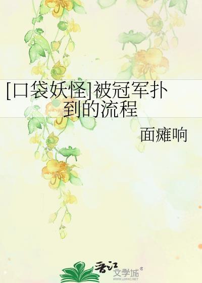 [口袋妖怪]被冠军扑到的流程封面