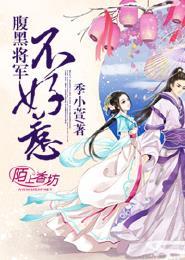 腹黑将军不好惹封面