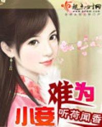 小妾难为封面