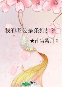 我的老公是条狗山本一郎封面