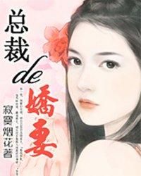 总裁的娇妻。封面