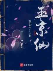 玉京仙同谋封面