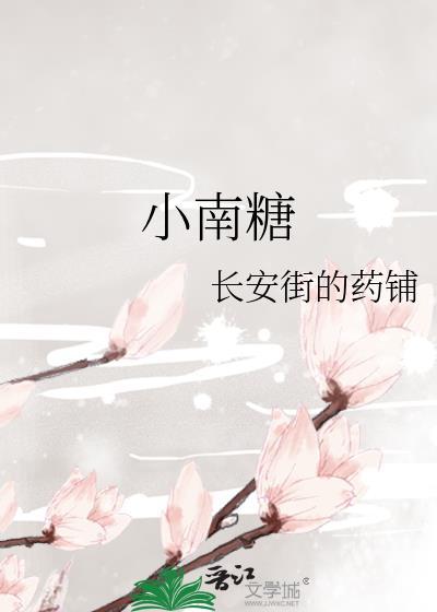 小南糖封面