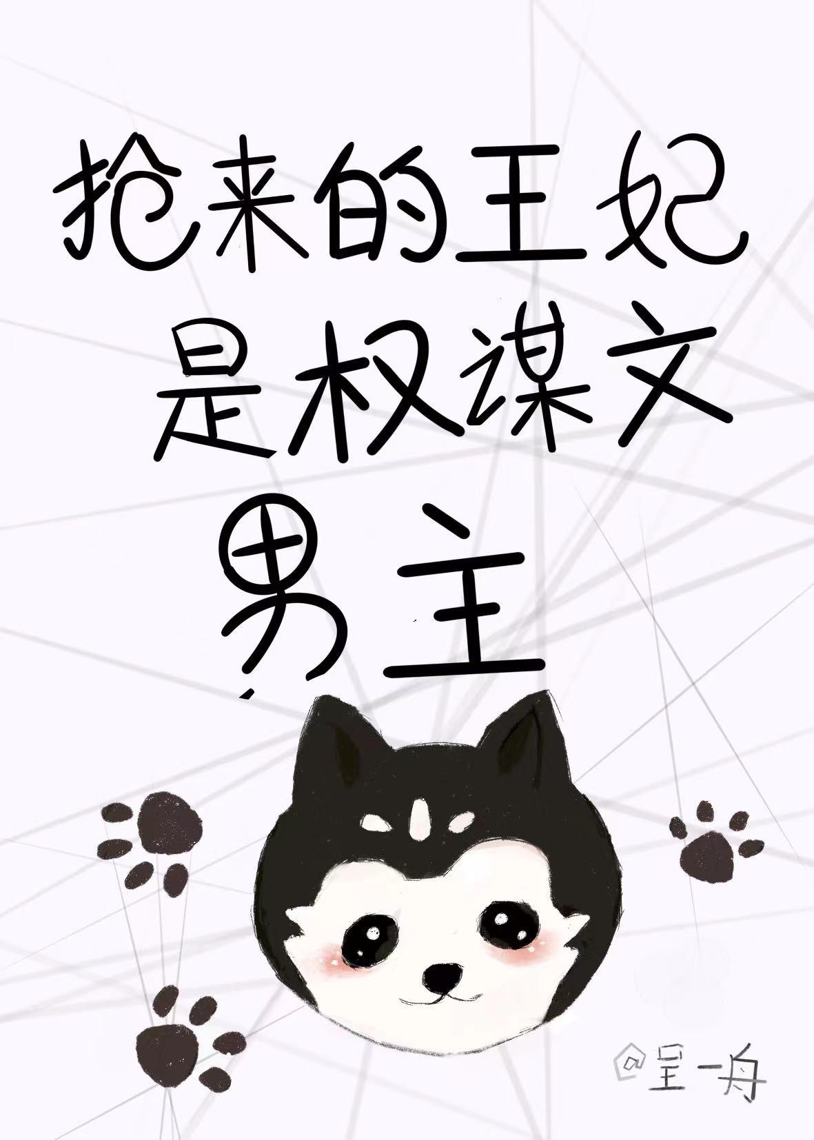 抢来的王妃是权谋文男主封面
