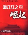 满江红之崛起封面