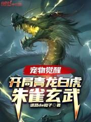 宠物觉醒：开局青龙白虎朱雀玄武封面