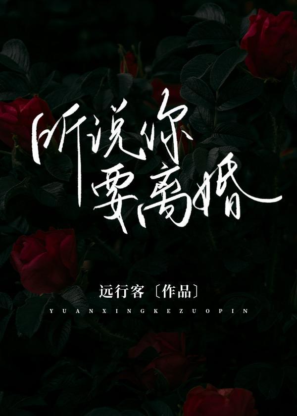 听说你要离婚封面