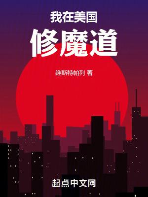 我在美国修魔道封面