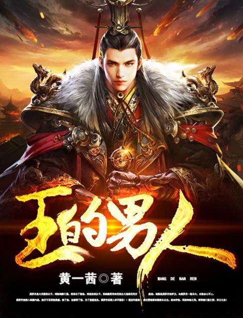 王的男人封面