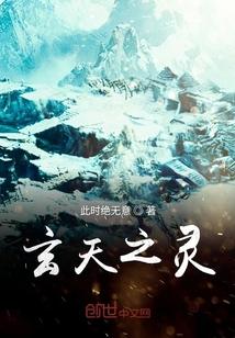 玄天之灵封面