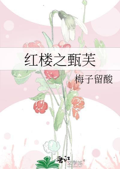 红楼之甄芙封面