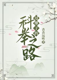 过继子的科举之路封面