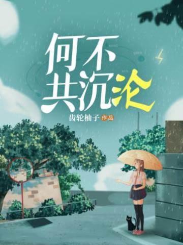 何不共沈沦封面