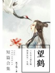 望鹤封面