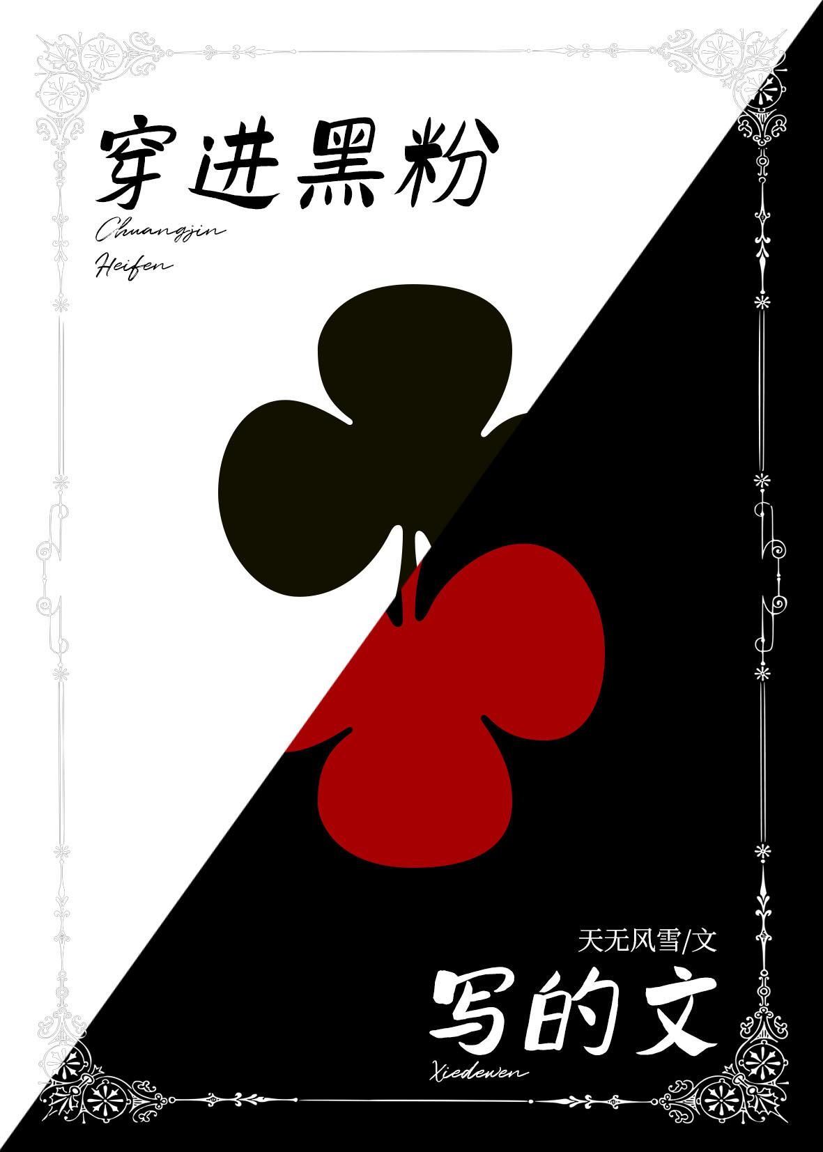 穿进黑粉写的文封面