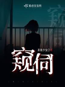 窥伺封面