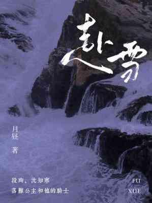 赴雪封面