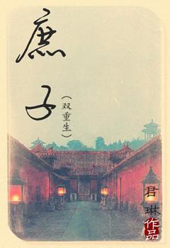 庶子（双重生）封面