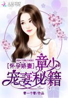 怀孕娇妻：章少宠妻秘籍封面