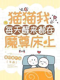 猫猫我每天醒来都在魔尊床上封面