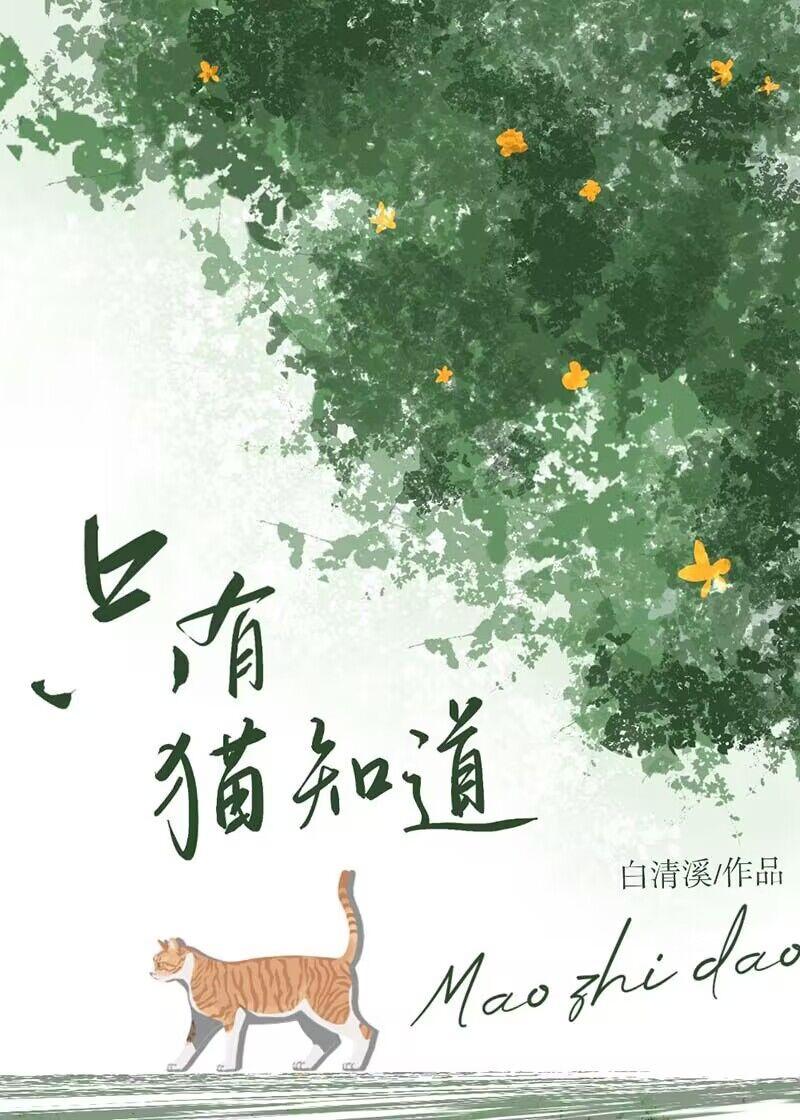 只有猫知道封面
