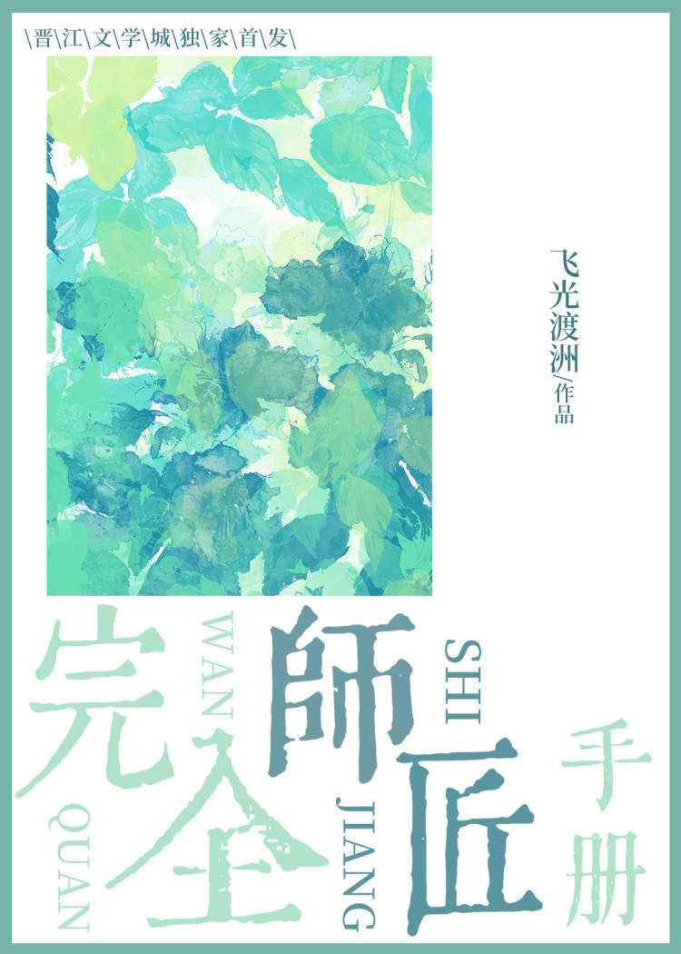 完全师匠手册封面