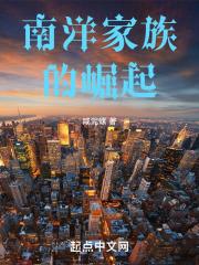 南洋家族的崛起封面