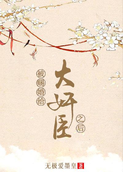 被赐婚给大奸臣之后封面