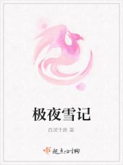 极夜雪记封面