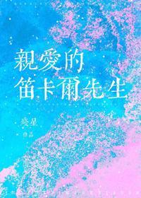 亲爱的笛卡尔先生封面