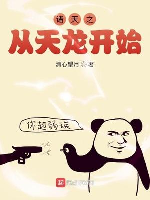 诸天之从天龙开始封面