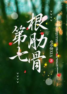 第七根肋骨封面