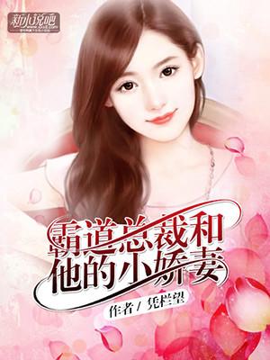霸道总裁和他的小娇妻封面