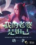 我的老婆是妲己封面