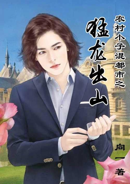 农村小子混都市之猛龙出山封面