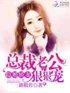 隐婚娇妻：总裁老公狠狠宠封面