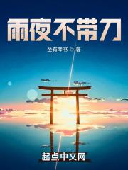 雨夜不带刀封面
