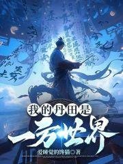 我的丹田是一方世界封面