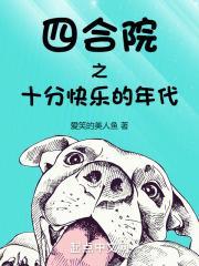 四合院之十分快乐的年代封面